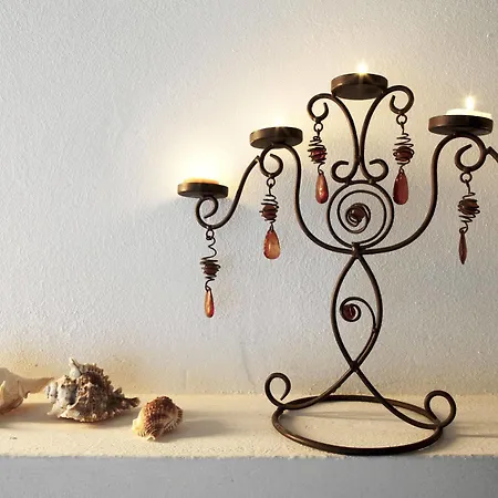 Laurisilva * Corralejo