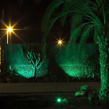 Laurisilva * Corralejo