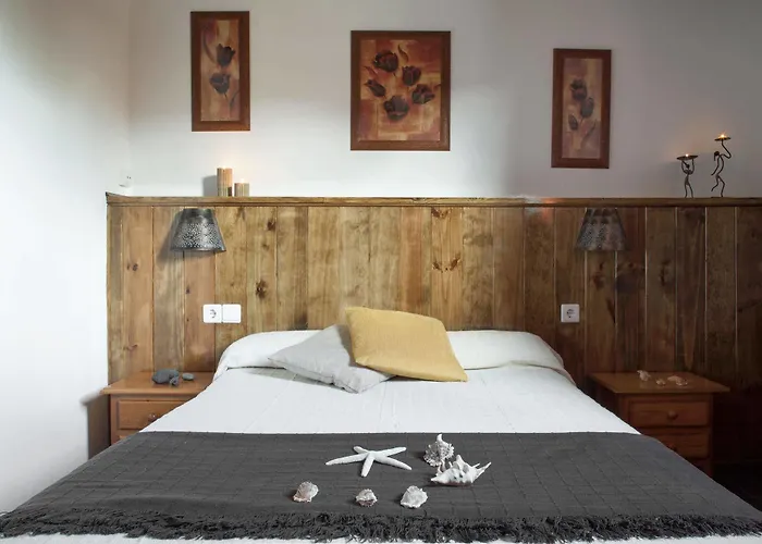 Laurisilva Corralejo