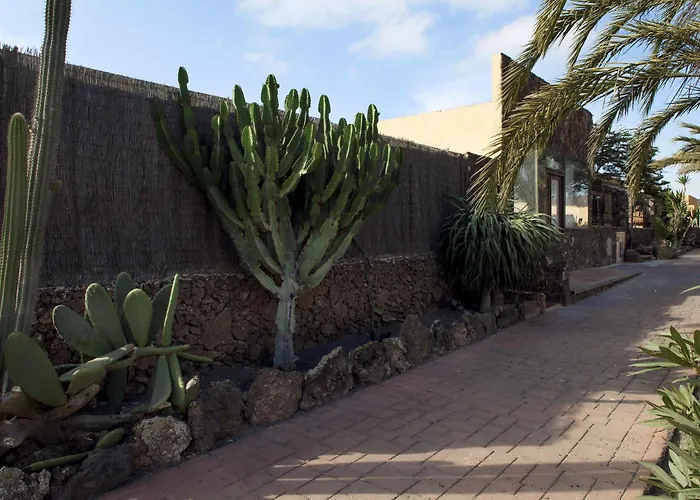 Laurisilva * Corralejo