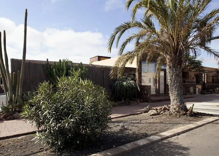 Laurisilva * Corralejo