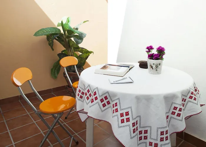 Laurisilva Corralejo