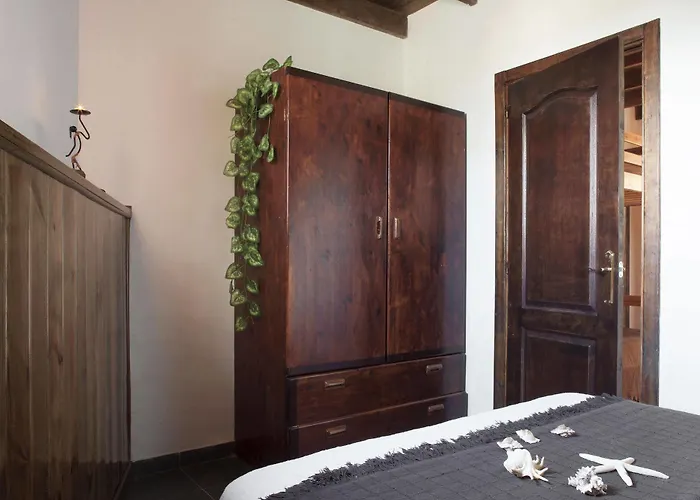 Laurisilva Corralejo