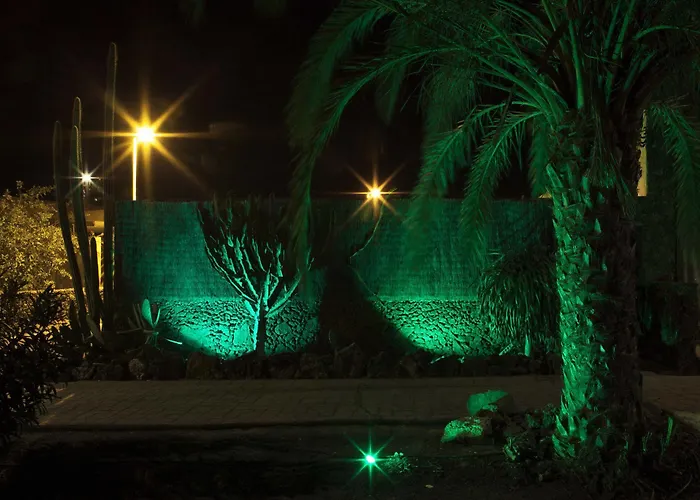 Laurisilva * Corralejo