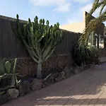 Laurisilva * Corralejo